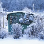 Three Steps to Protecting Your Garden Over Winter
